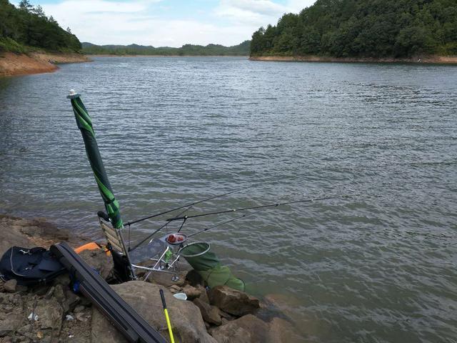 重庆南岸钓鱼资源如何，南岸区野钓！