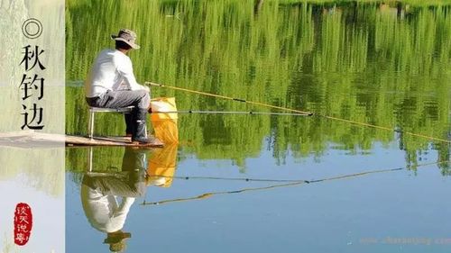 寒露钓鱼如何选择天气？寒露野钓技巧？