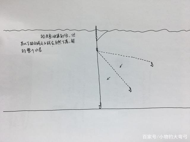 浅水钓鱼断线如何应对，浅水钓鱼断线如何应对视频？