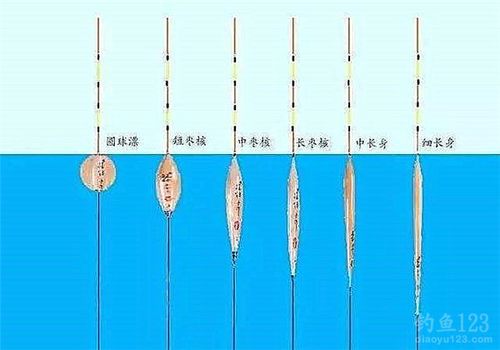 钓鱼各种浮漂如何使用？钓鱼浮漂讲解？