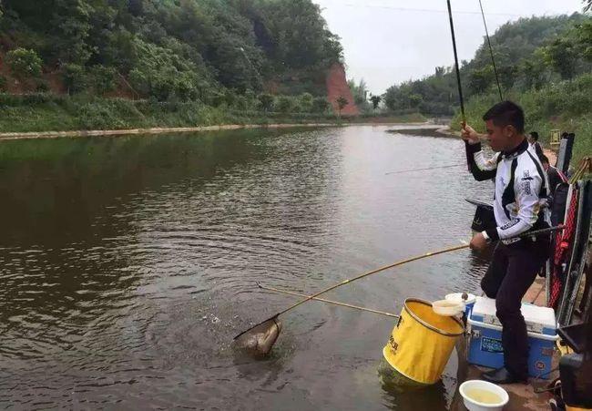 春天湖里如何钓鱼，春天湖里如何钓鱼视频？