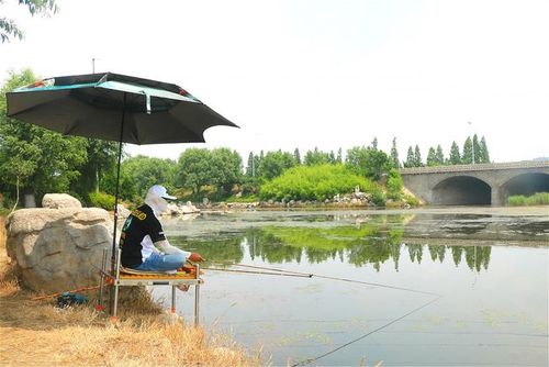 夏日气温高如何钓鱼，夏日气温高如何钓鱼视频？