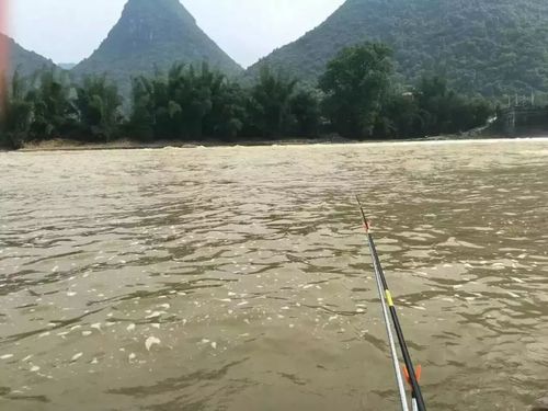 涨大水如何野钓鱼，涨大水后水浑可以钓什么鱼？