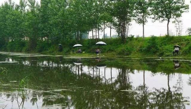 夏天如何在鱼塘钓鱼，夏天如何在鱼塘钓鱼呢